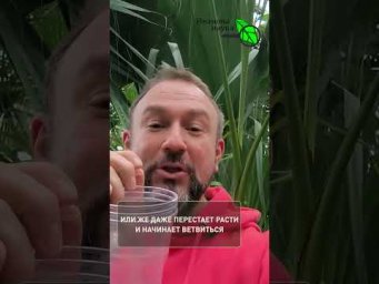 НИКОГДА не сажайте рассаду в ЭТО! Убьете все растения. Опытные дачники обходят эту тару стороной.