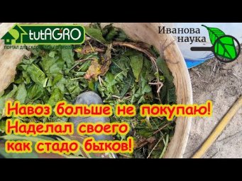 ВМЕСТО ОБЫЧНОГО НАВОЗА - ТРАВЯНОЙ НАВОЗ! Он в 100 раз лучше!!!
