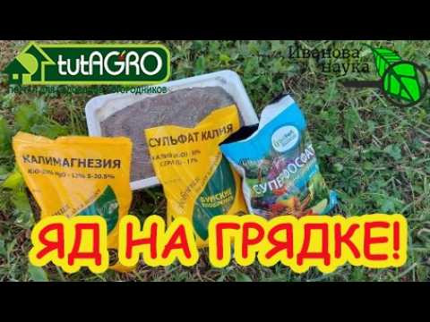 ШОКИРУЮЩАЯ ПРАВДА о минеральных удобрениях! Это надо знать КАЖДОМУ! Восстановление почвы. ШОКИРУЮЩАЯ ПРАВДА о минеральных удобрениях! Это надо знать КАЖДОМУ! Восстановление почвы.
