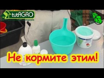 УБИЙЦА РАССАДЫ! Шокирующий рецепт от Виктории Карелиной. Вся правда о новой подкормке: ОСТОРОЖНО!