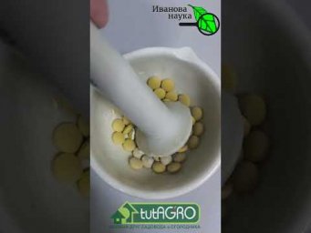 ДАЧНЫЕ МАГАЗИНЫ НЕНАВИДЯТ МЕНЯ ЗА ЭТОТ РЕЦЕПТ! Обычное домашнее средство заменяет десяток дорогих.