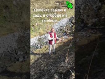 Обязательно сделайте это в саду, в огороде и теплице до морозов.