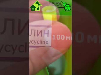 ЭТИМ СРЕДСТВОМ ВЫГОНЯЕМ МУХУ, СЛИЗНЕЙ, КИВСЯКОВ и ДОЛГОНОСИКА.