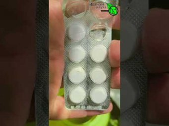 Копеечная таблетка из аптеки спасла мои урожай!  Забыл про гниль томатов с 1 таблеткой