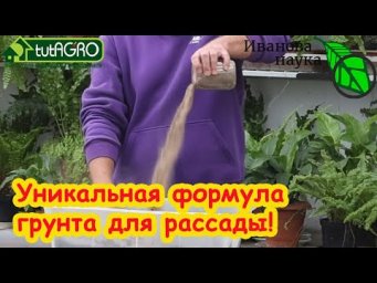 ВАЛЯЕТСЯ ПОД НОГАМИ и ЖДЁТ, КОГДА ЕЁ ЗАБЕРУТ: лучшая добавка в грунт для рассады прямо из природы.