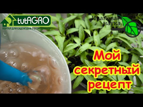РАСКАЧАЙТЕ ФИТОСПОРИН! Простой способ усилить действие биопрепаратов в 100 раз! РАСКАЧАЙТЕ ФИТОСПОРИН! Простой способ усилить действие биопрепаратов в 100 раз!