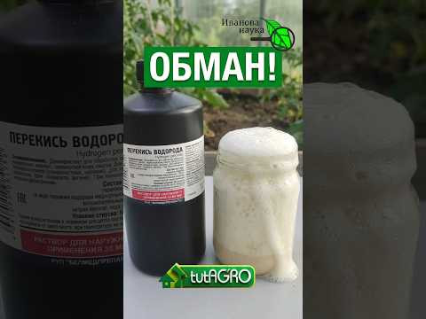 Как вас ОБМАНЫВАЮТ продавцы! 