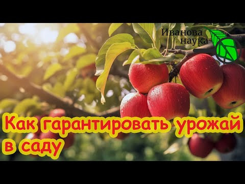 ВСЕ САЖЕНЦЫ ПРИЖИВУТСЯ И БУДУТ ПЛОДОНОСИТЬ МНОГО ЛЕТ! Просто при посадке полейте этим раствором. ВСЕ САЖЕНЦЫ ПРИЖИВУТСЯ И БУДУТ ПЛОДОНОСИТЬ МНОГО ЛЕТ! Просто при посадке полейте этим раствором.