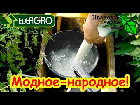 1 раз полейте этим домашним средством и забудьте о вредителях НАВСЕГДА! 1 раз полейте этим домашним средством и забудьте о вредителях НАВСЕГДА!