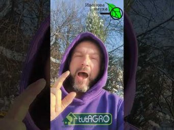 Чем быстрее, тем лучше! Вот что надо сделать с землёй для рассады так можно скорее.