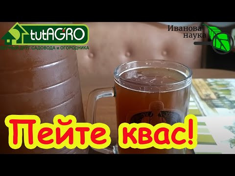 КВАС ХЛЕБНЫЙ без дрожжей: очищает сосуды и нормализует давление. Полезный домашний продукт без химии КВАС ХЛЕБНЫЙ без дрожжей: очищает сосуды и нормализует давление. Полезный домашний продукт без химии
