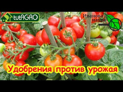 ЭТИ 3 УДОБРЕНИЯ ПОГУБЯТ ВЕСЬ УРОЖАЙ! Не используйте эти удобрения, пока не узнаете как.