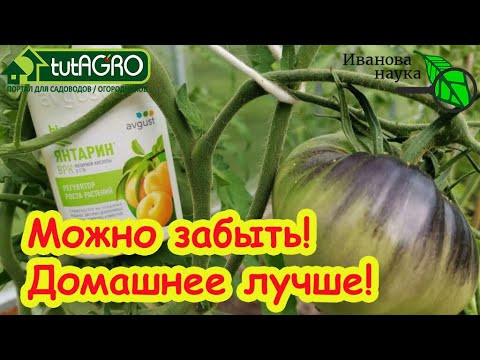 В 100 раз лучше ЭПИНА и ЯНТАРНОЙ КИСЛОТЫ! Это домашнее средство должно быть всегда под рукой. В 100 раз лучше ЭПИНА и ЯНТАРНОЙ КИСЛОТЫ! Это домашнее средство должно быть всегда под рукой.
