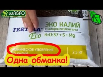 РАЗБОР ПОЛЁТОВ №3. Виктория Карелина оподзолилась. Ликвидация безграмотности и прививка от глупости