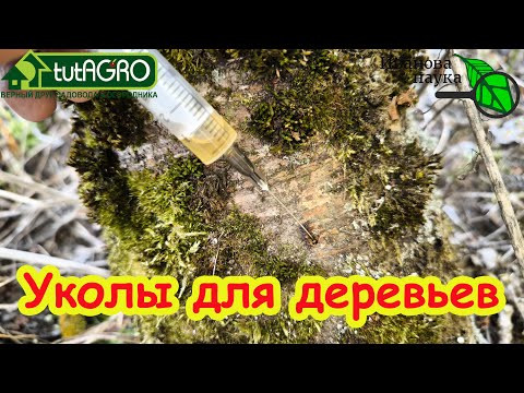 ОПРЫСКИВАТЬ НЕ НАДО! Изгнание из зада болезней и вредителей без опрыскивания. Уколы прямо в ствол.