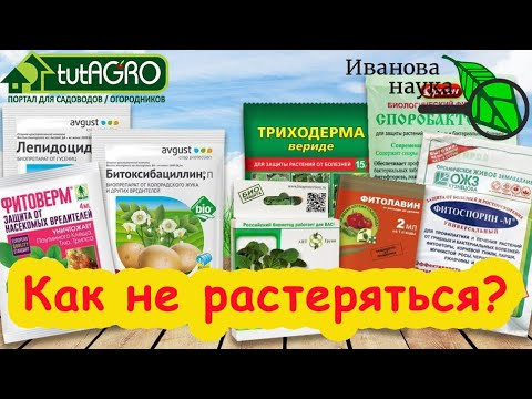 ЧТО ВЫБРАТЬ К СЕЗОНУ 2025 ГОДА ДЛЯ ВСЕГО САДА и ОГОРОДА. ЧТО ВЫБРАТЬ К СЕЗОНУ 2025 ГОДА ДЛЯ ВСЕГО САДА и ОГОРОДА.