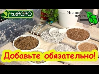 Добавьте это в грунт и рассада будет толстой и крепкой! Забудьте о хилой рассаде: копеечная добавка.