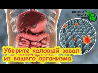 СТОЛОВАЯ ЛОЖКА В ДЕНЬ ИЗБАВИТ ОТ ЗАПОРА и ВОСПАЛЕНИЯ В КИШЕЧНИКЕ. Вот почему Гутталакс не работает.
