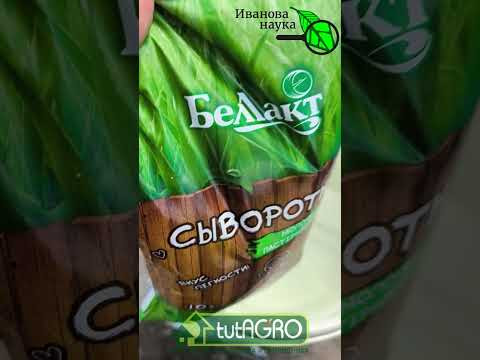ЛИСТЬЯ ПОЖЕЛТЕЛИ, А ЗАВЯЗИ НЕ РАЗВИВАЮТСЯ? Используйте это натуральное средство. Подкормка огурца. ЛИСТЬЯ ПОЖЕЛТЕЛИ, А ЗАВЯЗИ НЕ РАЗВИВАЮТСЯ? Используйте это натуральное средство. Подкормка огурца.