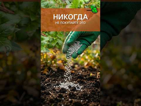 ОСТОРОЖНО! МОШЕННИКИ! Никогда не покупайте ЭТО на маркетплейсах, если цените ОГОРОД и УРОЖАЙ ОСТОРОЖНО! МОШЕННИКИ! Никогда не покупайте ЭТО на маркетплейсах, если цените ОГОРОД и УРОЖАЙ
