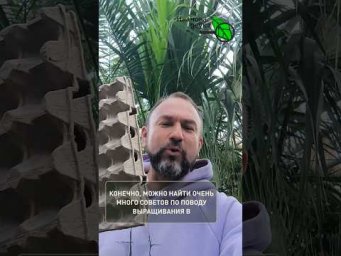 ЛОТКИ ДЛЯ ЯИЦ - самая нужная вещь для урожая картофеля!