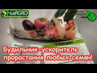 ВЫСКОЧАТ ТОРПЕДОЙ! КАК УСКОРИТИЬ ПРОРАСТАНИЕ СЕМЯН ПРОСТЫМ ДОМАШНИМ СПОСОБОМ. Перец взойдет тут же!