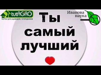 ТЫ - ЛУЧШИЙ! У кого самая лучшая рассада, сад, цветник и огород? Конечно, У ТЕБЯ, мой зритель!