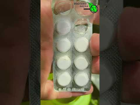 Копеечная таблетка из аптеки спасла мои урожай! Забыл про гниль томатов с 1 таблеткой Копеечная таблетка из аптеки спасла мои урожай! Забыл про гниль томатов с 1 таблеткой