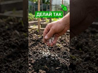 СРОЧНО СДЕЛАЙТЕ ЭТО ПОСЛЕ СБОРА УРОЖАЯ ИЛИ ПОТЕРЯЕТЕ ВСЁ В СЛЕДУЮЩЕМ ГОДУ