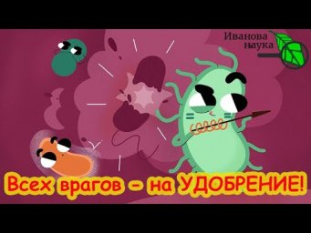 Все отходы превращаем в удобрение! Пользуйтесь этим средством и будете всегда с урожаем.