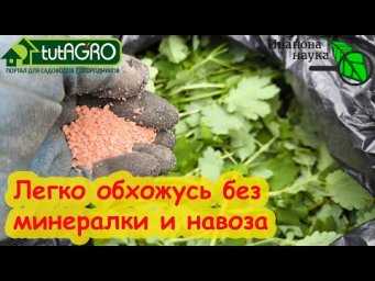 ТЕПЕРЬ ОБХОЖУСЬ БЕЗ НАВОЗА! БИОГУМУС СВОИМИ РУКАМИ ЗА 10 ДНЕЙ! Навоз больше не покупаю.