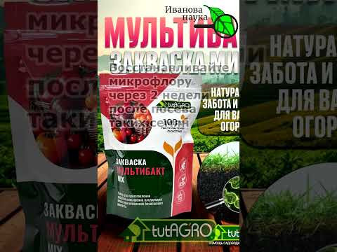 Срочно остановитесь! Эти семена нельзя замачивать ни в коем случае. Семена, которым вода навредит. Срочно остановитесь! Эти семена нельзя замачивать ни в коем случае. Семена, которым вода навредит.
