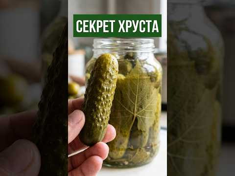 БЕЗ ЭТОГО не закатываю! 