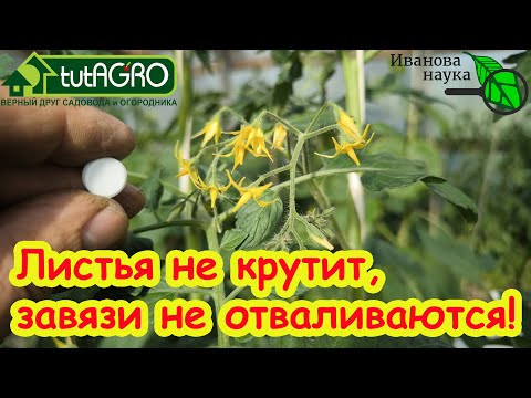 ВСЕ ЗАВЯЗИ ПРЕВРАТЯТСЯ В УРОЖАЙ! Перцы, томаты и огурцы ОБОЖАЮТ эту подкормку. Активация завязей. ВСЕ ЗАВЯЗИ ПРЕВРАТЯТСЯ В УРОЖАЙ! Перцы, томаты и огурцы ОБОЖАЮТ эту подкормку. Активация завязей.