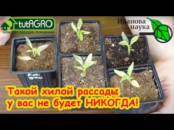 ВСЕГО 2 ДЕЙСТВИЯ и РАССАДА БУДЕТ ИДЕАЛЬНОЙ: активация пустых грунтов простым способом.