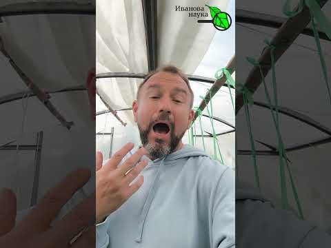 Как превратить ЗОЛУ в золото для вашего сада и огорода? Полный рецепт в описании к видео Как превратить ЗОЛУ в золото для вашего сада и огорода? Полный рецепт в описании к видео