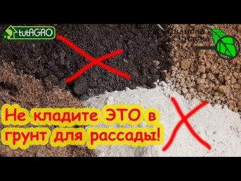ВОТ ЧТО НЕ СТОИТ ДОБАВЛЯТЬ В ГРУНТ ДЛЯ РАССАДЫ. Еще хуже - добавлять это одновременно. Рассада умрет