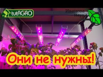 ФИТОЛАМПЫ НЕ НУЖНЫ: рассада не потянется! Вырастет крепкая рассада! Дёшево и эффективно.