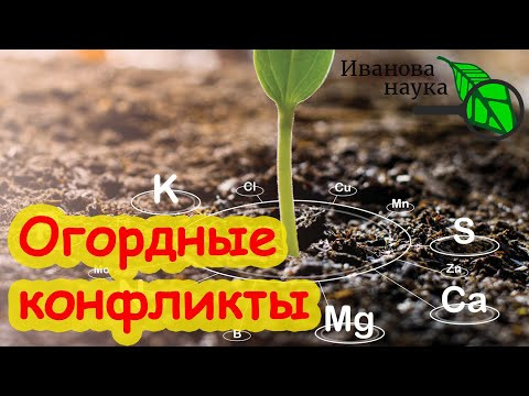 Как правильно СМЕШИВАТЬ УДОБРЕНИЯ? Не допустим огородных конфликтов.