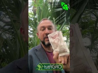 Этот порошок лучше любого удобрения!