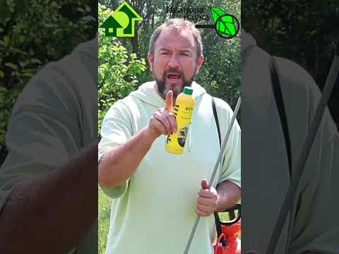 Забудьте о червивых вишнях и черешнях!