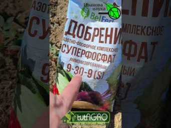 Подкормка роз весной. Какое удобрение лучше подходит для роз.  Секреты весеннего ухода.