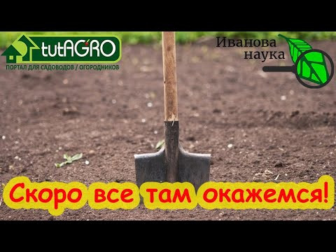 КАК ПРАВИЛЬНО ПРОТРАВИТЬ ПОЧВУ НА УЧАСТКЕ? Подготовка земли для высадки рассады и посева семян. КАК ПРАВИЛЬНО ПРОТРАВИТЬ ПОЧВУ НА УЧАСТКЕ? Подготовка земли для высадки рассады и посева семян.