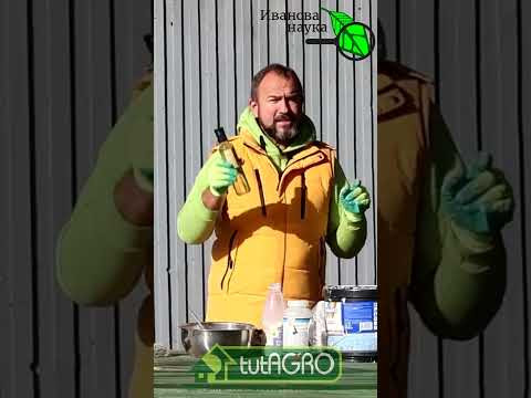 ЭТА ПОБЕЛКА ПРОДЕРЖИТСЯ ГОД: защита деревьев от ожогов, болезней, вредителей и грызунов.