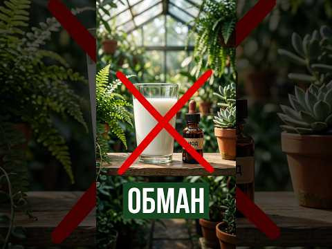 ВАС ОБМАНУЛИ! 