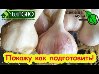ЛУК и ЧЕСНОК ХРАНЯТСЯ ДО СЛЕДУЮЩЕГО УРОЖАЯ. Вот как надо подготовить!