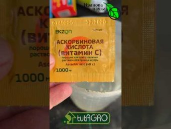 Вот что НУЖНО сейчас ВАШИМ ТОМАТАМ и ПЕРЦАМ! ТОЛСТЫЙ СТЕБЕЛЬ за 3 дня: лучшая подкормка!