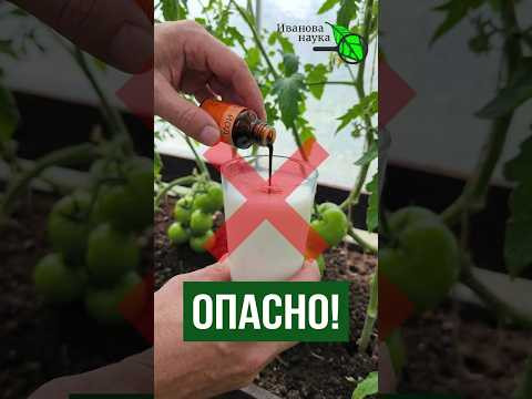 Ломит тело? Срочно вспомните, чем вы брызгали огород! Ломит тело? Срочно вспомните, чем вы брызгали огород!