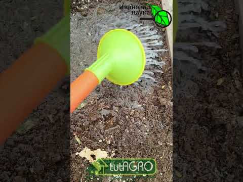 ПОЛИВАЮ ПРОСТОЙ ВОДОЙ и ЗЕМЛЯ ПЫШНАЯ КАК СВЕЖИЙ ХЛЕБ! Успейте сделать это осенью в теплице. ПОЛИВАЮ ПРОСТОЙ ВОДОЙ и ЗЕМЛЯ ПЫШНАЯ КАК СВЕЖИЙ ХЛЕБ! Успейте сделать это осенью в теплице.
