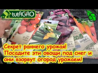 ДОЛГОЖДАННОЕ ВИДЕО! ЧТО ИЗ ОВОЩЕЙ ПОСЕЯТЬ ПОД ЗИМУ: от традиционных до неожиданных. Правила посева.